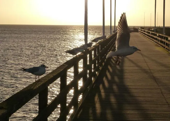 Apartamento Moewennest 5 - *